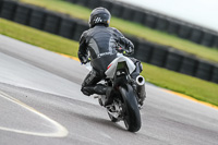 PJ-Motorsport-2019;anglesey-no-limits-trackday;anglesey-photographs;anglesey-trackday-photographs;enduro-digital-images;event-digital-images;eventdigitalimages;no-limits-trackdays;peter-wileman-photography;racing-digital-images;trac-mon;trackday-digital-images;trackday-photos;ty-croes